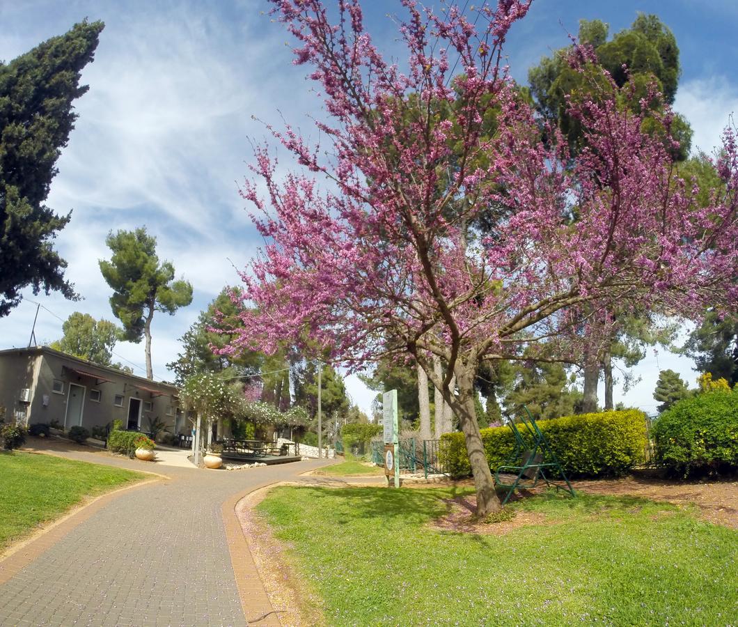 Kibbutz Malkiya Travel Hotel Malkiyya Exterior photo